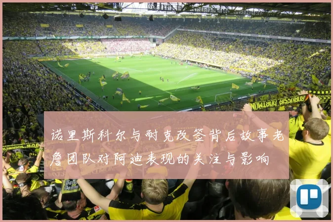 诺里斯科尔与耐克改签背后故事老詹团队对阿迪表现的关注与影响