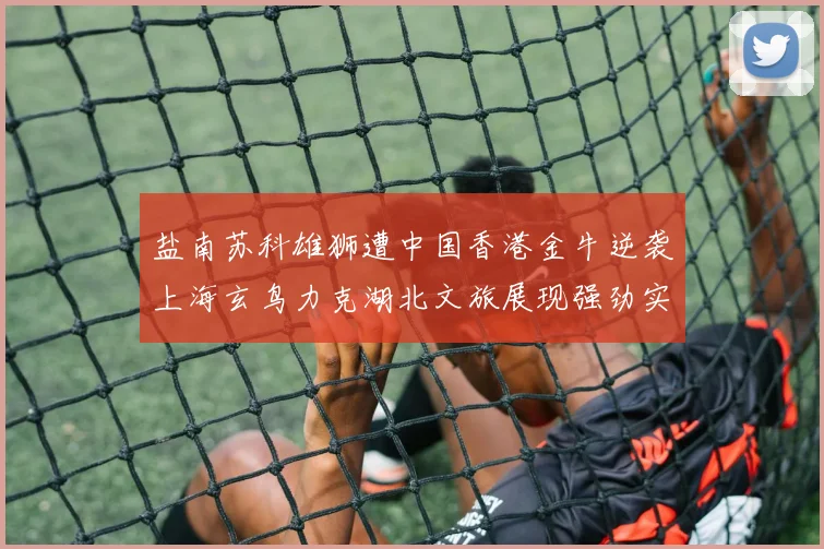 盐南苏科雄狮遭中国香港金牛逆袭上海玄鸟力克湖北文旅展现强劲实力