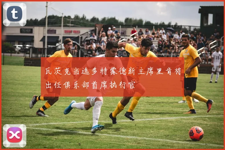 瓦茨克当选多特蒙德新主席里肯将出任俱乐部首席执行官